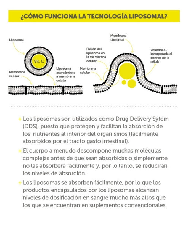 Vitamina C Liposomal 600 mg 90 cápsulas