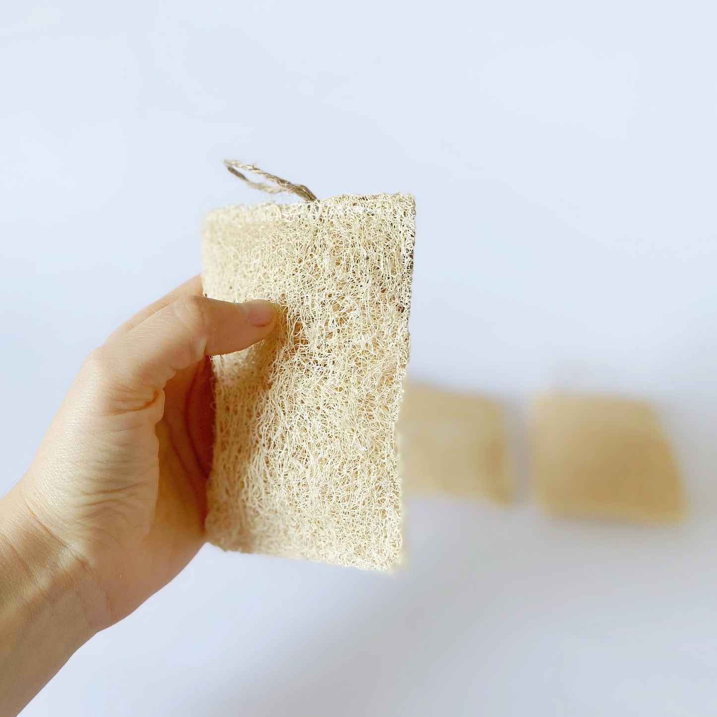 Esponja Luffa