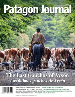 Revista Patagon Journal
