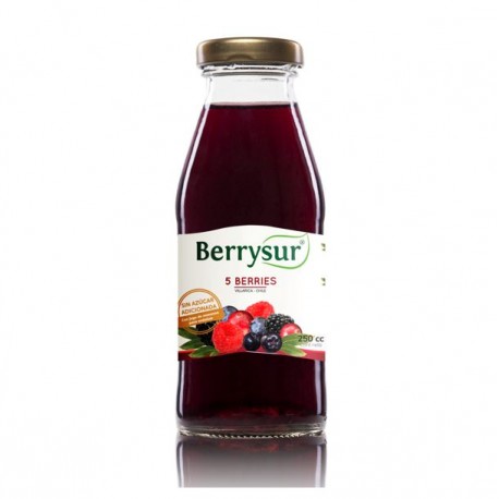 Jugo 5 Berries 250 cc - Berrysur